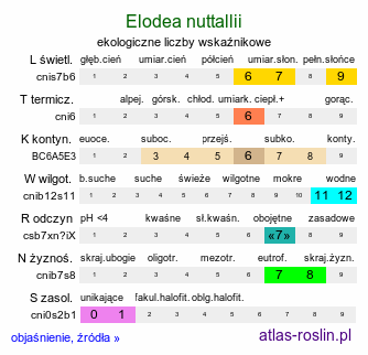 ekologiczne liczby wskaźnikowe Elodea nuttallii (moczarka delikatna)