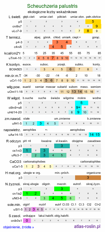 ekologiczne liczby wskaźnikowe Scheuchzeria palustris (bagnica torfowa)