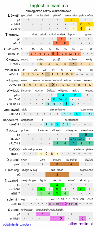 ekologiczne liczby wskaźnikowe Triglochin maritima (świbka morska)