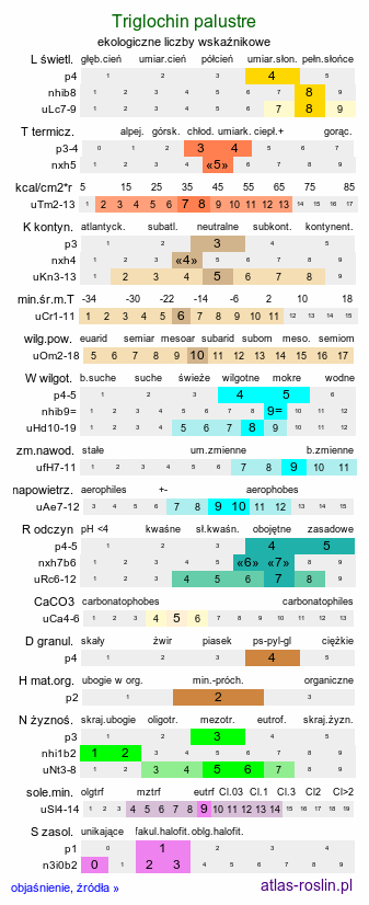 ekologiczne liczby wskaźnikowe Triglochin palustre (świbka błotna)