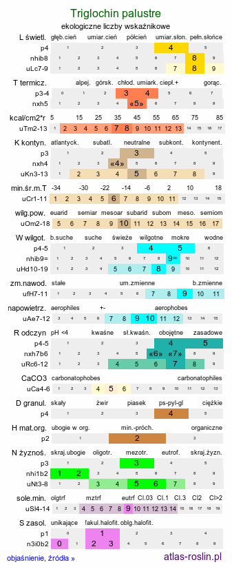 ekologiczne liczby wskaźnikowe Triglochin palustre (świbka błotna)