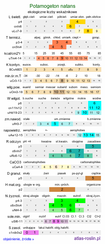 ekologiczne liczby wskaźnikowe Potamogeton natans (rdestnica pływająca)