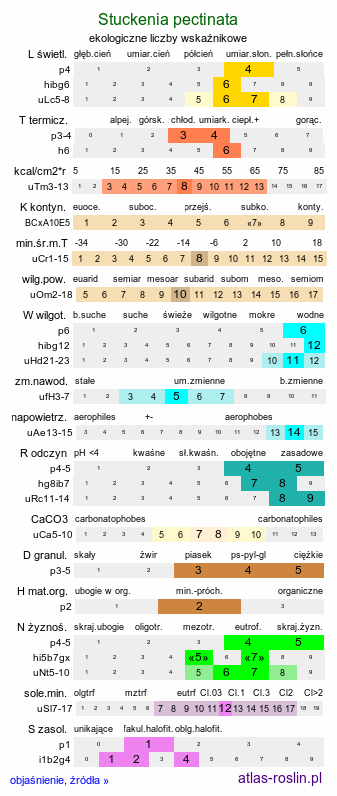 ekologiczne liczby wskaźnikowe Stuckenia pectinata (stuckenia grzebieniasta)