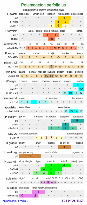 ekologiczne liczby wskaźnikowe Potamogeton perfoliatus (rdestnica przeszyta)