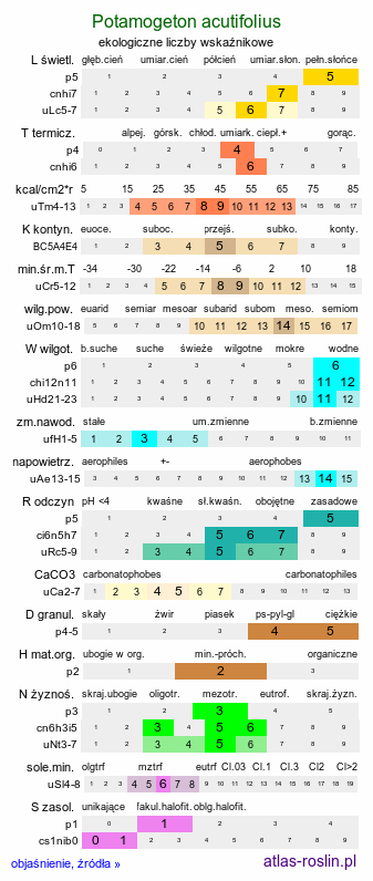 ekologiczne liczby wskaźnikowe Potamogeton acutifolius (rdestnica ostrolistna)