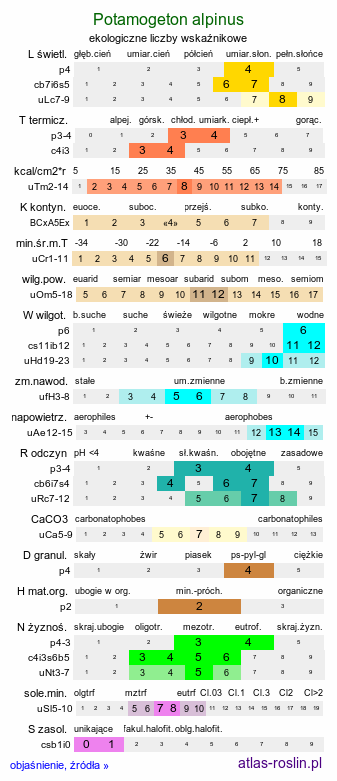 ekologiczne liczby wskaźnikowe Potamogeton alpinus (rdestnica alpejska)