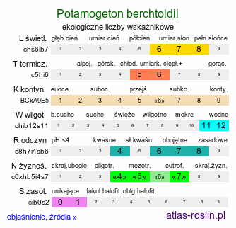 ekologiczne liczby wskaźnikowe Potamogeton berchtoldii (rdestnica Berchtolda)