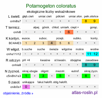 ekologiczne liczby wskaźnikowe Potamogeton coloratus (rdestnica zabarwiona)