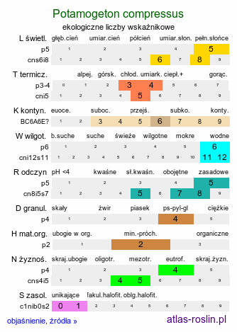 ekologiczne liczby wskaźnikowe Potamogeton compressus (rdestnica ściśniona)