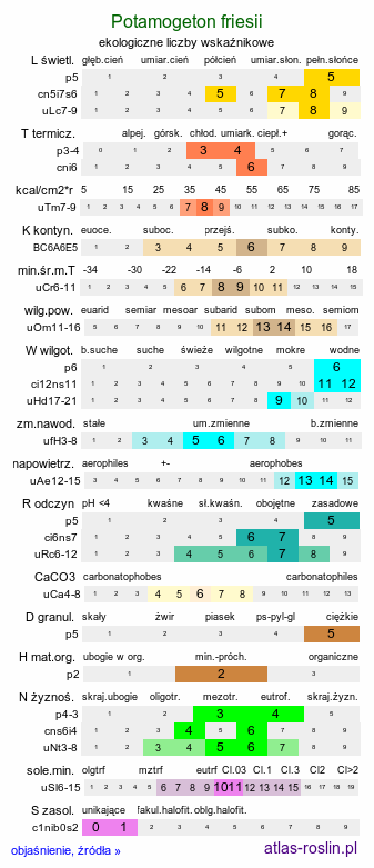 ekologiczne liczby wskaźnikowe Potamogeton friesii (rdestnica szczeciolistna)