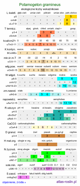 ekologiczne liczby wskaźnikowe Potamogeton gramineus (rdestnica trawiasta)