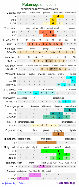 ekologiczne liczby wskaźnikowe Potamogeton lucens (rdestnica połyskująca)