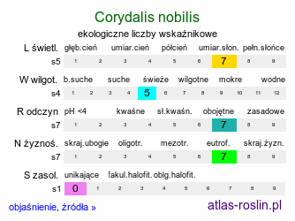 ekologiczne liczby wskaźnikowe Corydalis nobilis (kokorycz syberyjska)