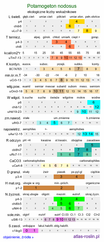 ekologiczne liczby wskaźnikowe Potamogeton nodosus (rdestnica nawodna)