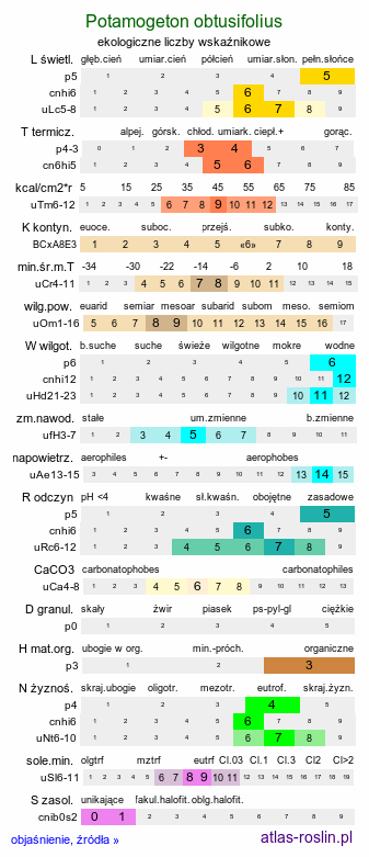 ekologiczne liczby wskaźnikowe Potamogeton obtusifolius (rdestnica stępiona)