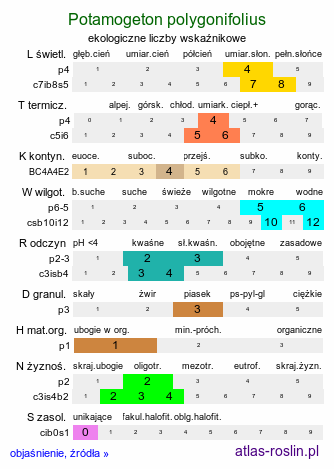 ekologiczne liczby wskaźnikowe Potamogeton polygonifolius (rdestnica podługowata)