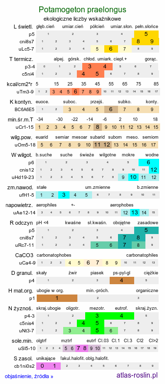 ekologiczne liczby wskaźnikowe Potamogeton praelongus (rdestnica wydłużona)