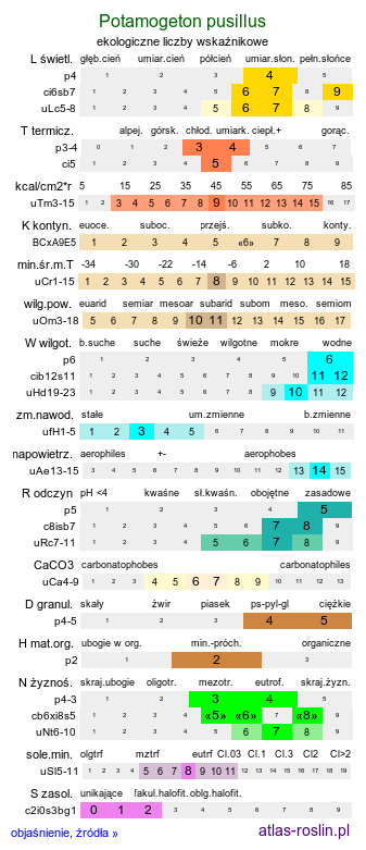 ekologiczne liczby wskaźnikowe Potamogeton pusillus (rdestnica drobna)