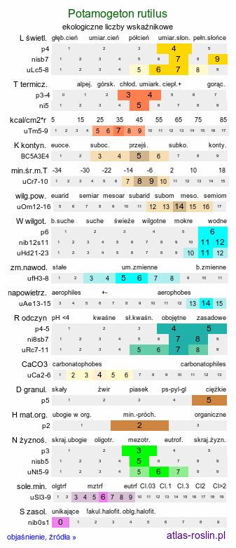 ekologiczne liczby wskaźnikowe Potamogeton rutilus (rdestnica błyszcząca)