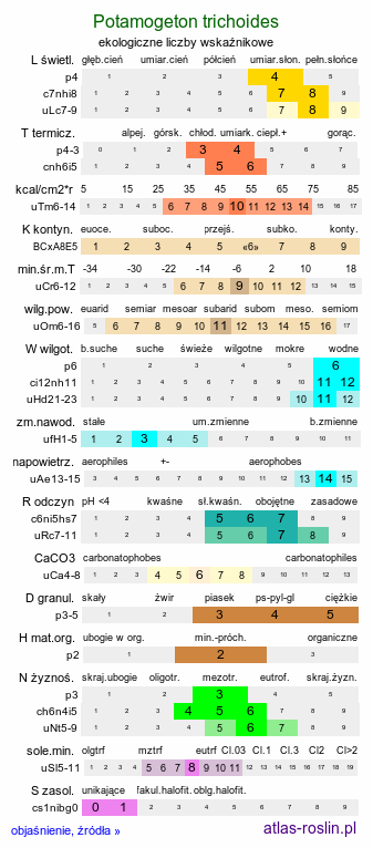 ekologiczne liczby wskaźnikowe Potamogeton trichoides (rdestnica włosowata)