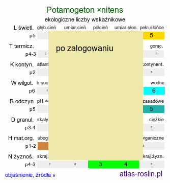 ekologiczne liczby wskaÅºnikowe Potamogeton Ã—nitens (rdestnica lÅ›niÄ…ca)
