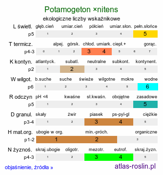 ekologiczne liczby wskaźnikowe Potamogeton ×nitens (rdestnica lśniąca)