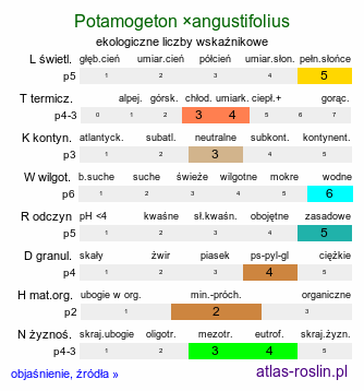 ekologiczne liczby wskaźnikowe Potamogeton ×angustifolius (rdestnica wąskolistna)