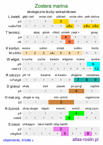 ekologiczne liczby wskaźnikowe Zostera marina (zostera morska)