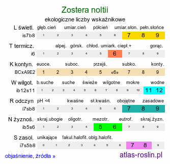 ekologiczne liczby wskaźnikowe Zostera noltii (zostera drobna)