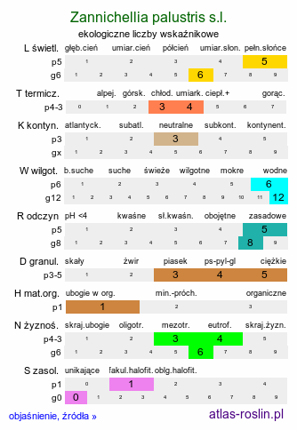 ekologiczne liczby wskaźnikowe Zannichellia palustris (zamętnica błotna)