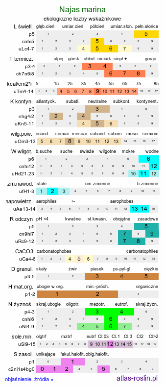 ekologiczne liczby wskaźnikowe Najas marina (jezierza morska)