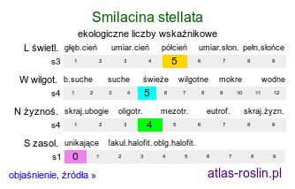 ekologiczne liczby wskaźnikowe Smilacina stellata (majówka gwiazdkowata)