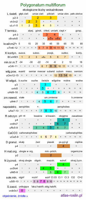 ekologiczne liczby wskaźnikowe Polygonatum multiflorum (kokoryczka wielokwiatowa)