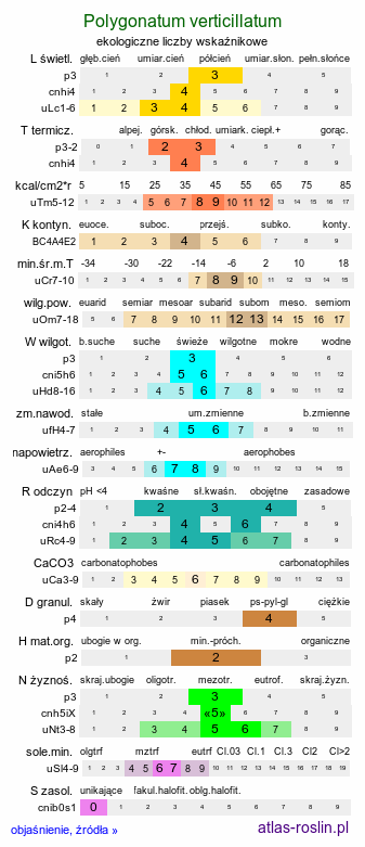 ekologiczne liczby wskaźnikowe Polygonatum verticillatum (kokoryczka okółkowa)