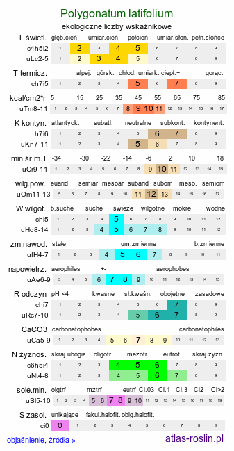 ekologiczne liczby wskaźnikowe Polygonatum latifolium (kokoryczka szerokolistna)