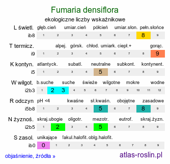 ekologiczne liczby wskaźnikowe Fumaria densiflora (dymnica gęstokwiatowa)