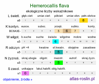 ekologiczne liczby wskaźnikowe Hemerocallis flava (liliowiec żółty)