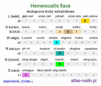 ekologiczne liczby wskaźnikowe Hemerocallis flava (liliowiec żółty)