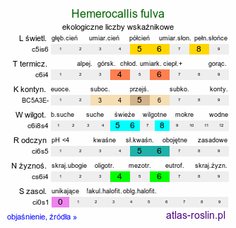 ekologiczne liczby wskaźnikowe Hemerocallis fulva (liliowiec rdzawy)