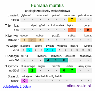 ekologiczne liczby wskaźnikowe Fumaria muralis (dymnica murowa)