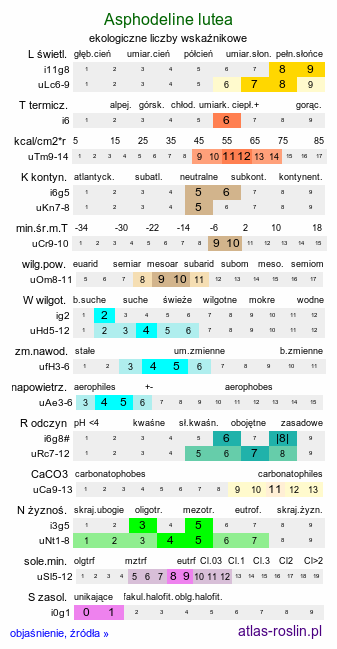 ekologiczne liczby wskaźnikowe Asphodeline lutea (złotnica żółta)
