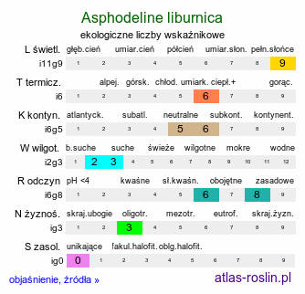 ekologiczne liczby wskaźnikowe Asphodeline liburnica (złotnica liguryjska)