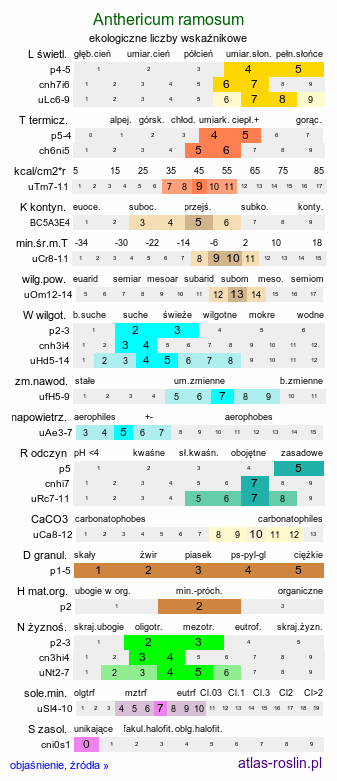 ekologiczne liczby wskaźnikowe Anthericum ramosum (pajęcznica gałęzista)