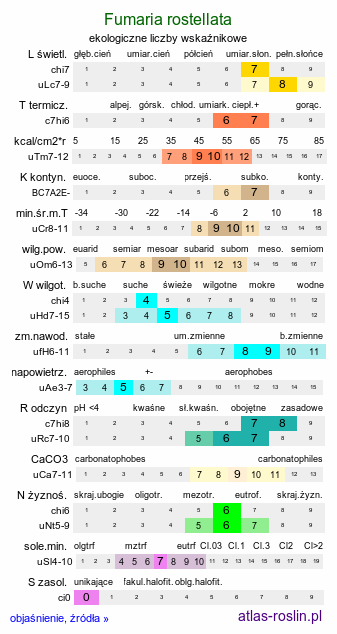 ekologiczne liczby wskaźnikowe Fumaria rostellata (dymnica szerokodziałkowa)
