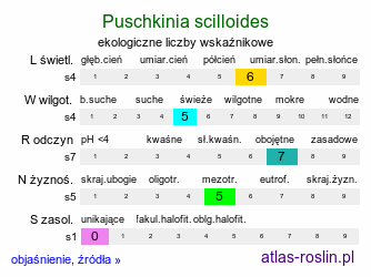 ekologiczne liczby wskaźnikowe Puschkinia scilloides (puszkinia cebulicowata)