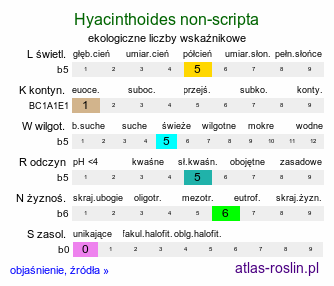 ekologiczne liczby wskaźnikowe Hyacinthoides non-scripta (cebulica nieopisana)