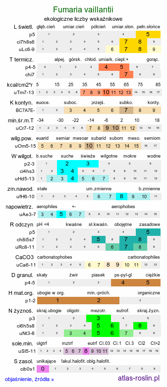 ekologiczne liczby wskaźnikowe Fumaria vaillantii (dymnica drobnokwiatowa)
