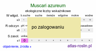 ekologiczne liczby wskaźnikowe Muscari azureum (szafirek błękitny)