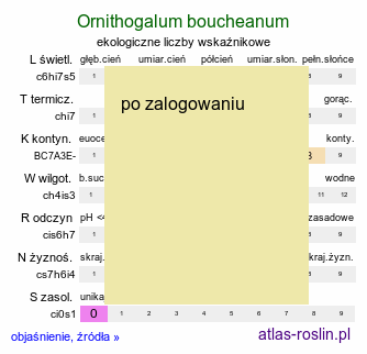ekologiczne liczby wskaźnikowe Ornithogalum boucheanum (śniedek Bouchego)
