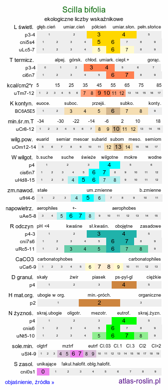 ekologiczne liczby wskaźnikowe Scilla bifolia (cebulica dwulistna)
